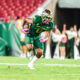 Can USF End Cincinnati’s College Football Playoff Hopes?