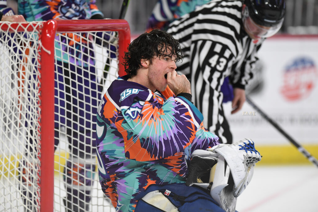 Revisit the Orlando Solar Bears out of hibernation season – Valencia Voice