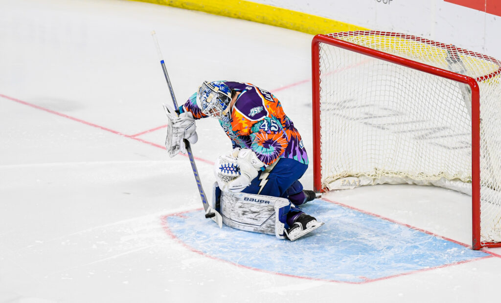 Revisit the Orlando Solar Bears out of hibernation season – Valencia Voice